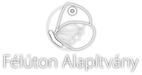 Flton Alaptvny
